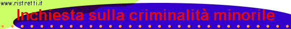Inchiesta sulla criminalit minorile